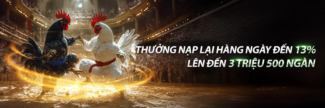 Sân chơi đá gà trực tuyến KIM66 chính thức